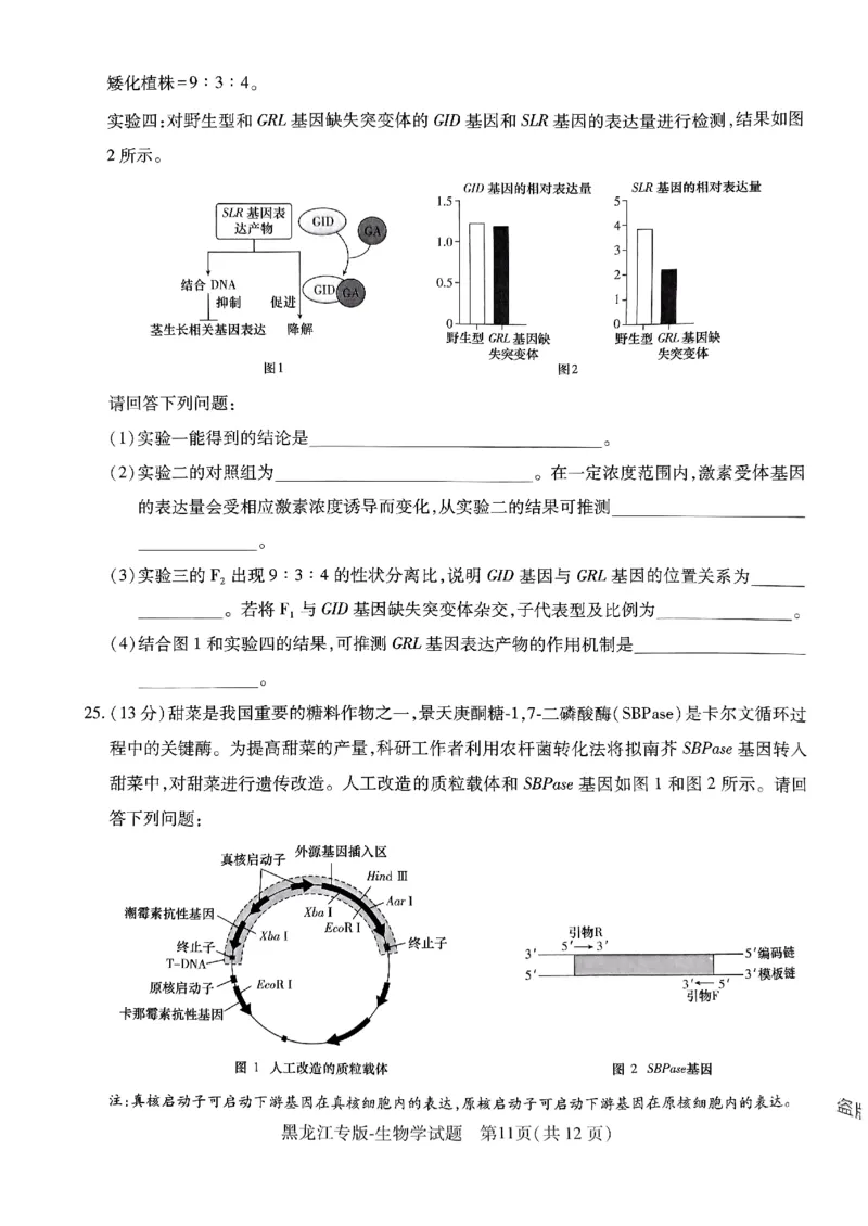物化生-王后雄-含答案_2024高考押题卷_22024王hou雄_黑龙江专版（完整）_黑龙江-理科-王后雄(完)