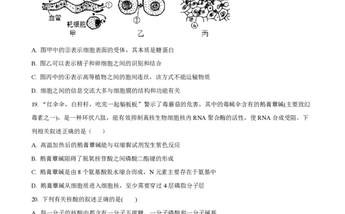 甘肃省武威市凉州区2023-2024学年高三上学期第一次诊断考试生物(1)_2023年9月_029月合集_2024届甘肃省武威市凉州区高三上学期第一次诊断考试