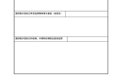 员工职业生涯规划表_E6-职业规划_94其他专业