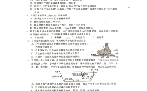 河北省张家口市尚义县2023-2024学年高三上学期开学考试生物试题(1)_2023年9月_029月合集_2024届新时代NT教育高三入学摸底考试