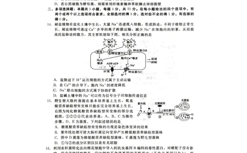 河北省张家口市尚义县2023-2024学年高三上学期开学考试生物试题(1)_2023年9月_029月合集_2024届新时代NT教育高三入学摸底考试