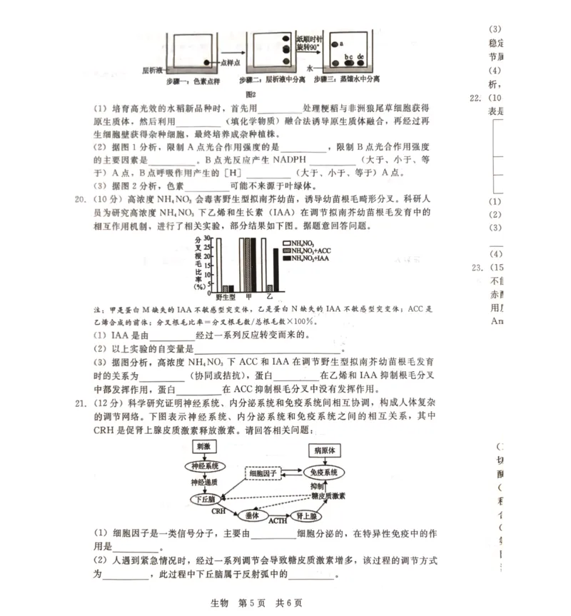 河北省张家口市尚义县2023-2024学年高三上学期开学考试生物试题(1)_2023年9月_029月合集_2024届新时代NT教育高三入学摸底考试