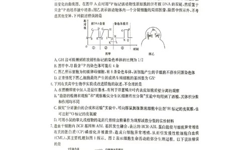 2024届娄底市高考仿真模拟生物试题_2024年4月_01按日期_1号_2024届湖南省娄底市高三下学期仿真模拟考试（三模）_2024届湖南省娄底市高考三模生物试题
