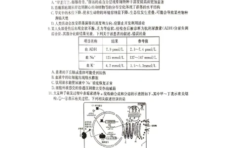 2024届娄底市高考仿真模拟生物试题_2024年4月_01按日期_1号_2024届湖南省娄底市高三下学期仿真模拟考试（三模）_2024届湖南省娄底市高考三模生物试题