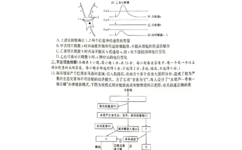 2024届娄底市高考仿真模拟生物试题_2024年4月_01按日期_1号_2024届湖南省娄底市高三下学期仿真模拟考试（三模）_2024届湖南省娄底市高考三模生物试题