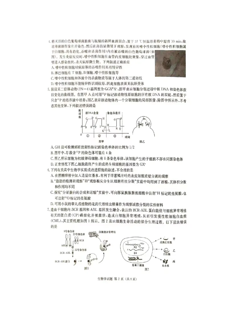 2024届娄底市高考仿真模拟生物试题_2024年4月_01按日期_1号_2024届湖南省娄底市高三下学期仿真模拟考试（三模）_2024届湖南省娄底市高考三模生物试题