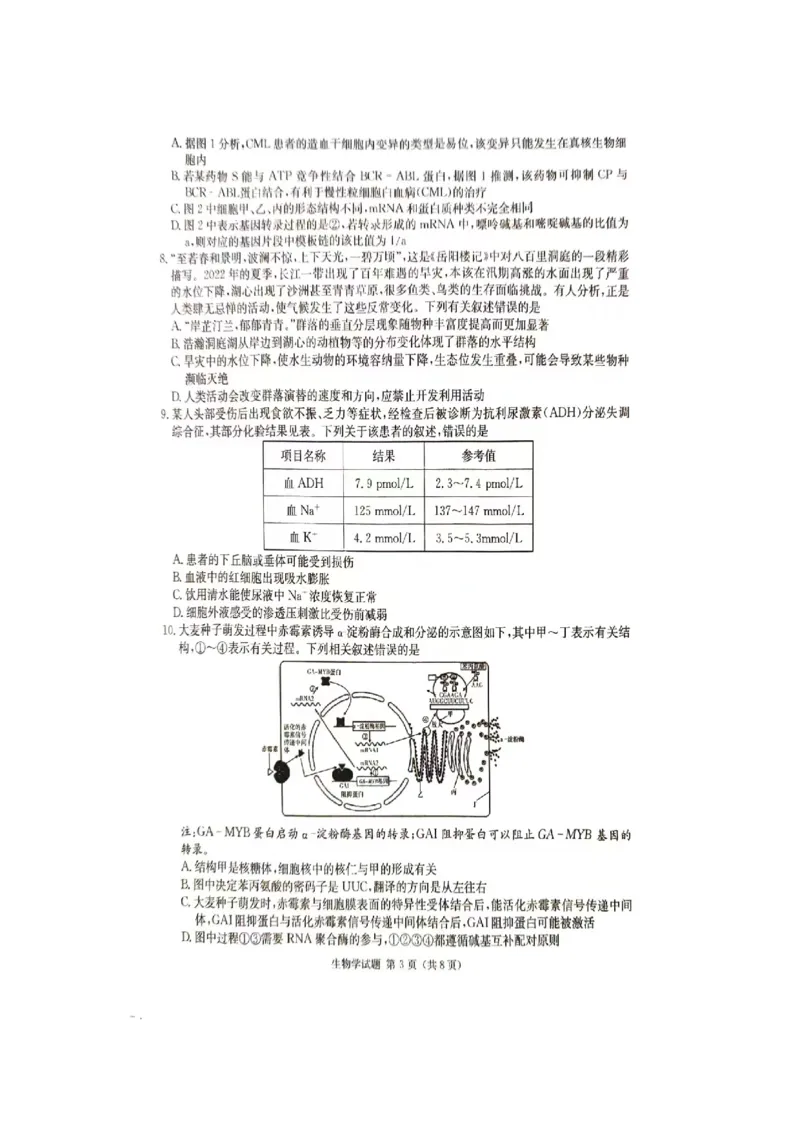 2024届娄底市高考仿真模拟生物试题_2024年4月_01按日期_1号_2024届湖南省娄底市高三下学期仿真模拟考试（三模）_2024届湖南省娄底市高考三模生物试题