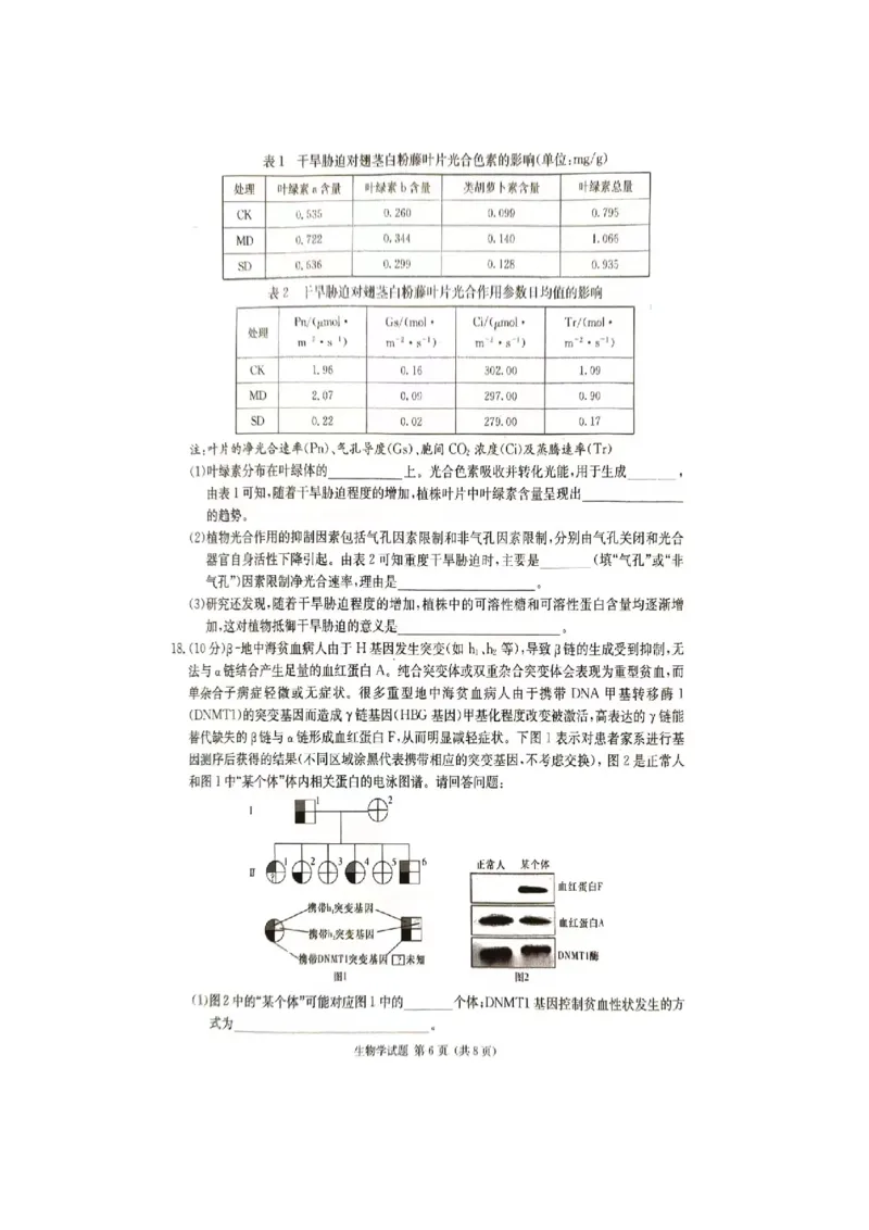 2024届娄底市高考仿真模拟生物试题_2024年4月_01按日期_1号_2024届湖南省娄底市高三下学期仿真模拟考试（三模）_2024届湖南省娄底市高考三模生物试题