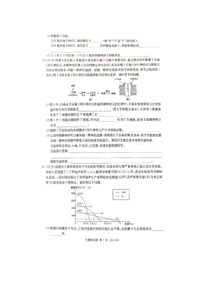 2024届娄底市高考仿真模拟生物试题_2024年4月_01按日期_1号_2024届湖南省娄底市高三下学期仿真模拟考试（三模）_2024届湖南省娄底市高考三模生物试题
