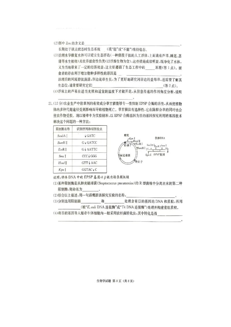 2024届娄底市高考仿真模拟生物试题_2024年4月_01按日期_1号_2024届湖南省娄底市高三下学期仿真模拟考试（三模）_2024届湖南省娄底市高考三模生物试题