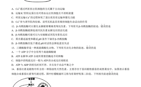 陕西省安康市重点名校2023-2024学年高三10月联考生物试题(1)_2023年10月_0210月合集_2024届陕西省安康市重点名校高三上学期10月联考_陕西省安康市重点名校2024届高三上学期10月联考生物