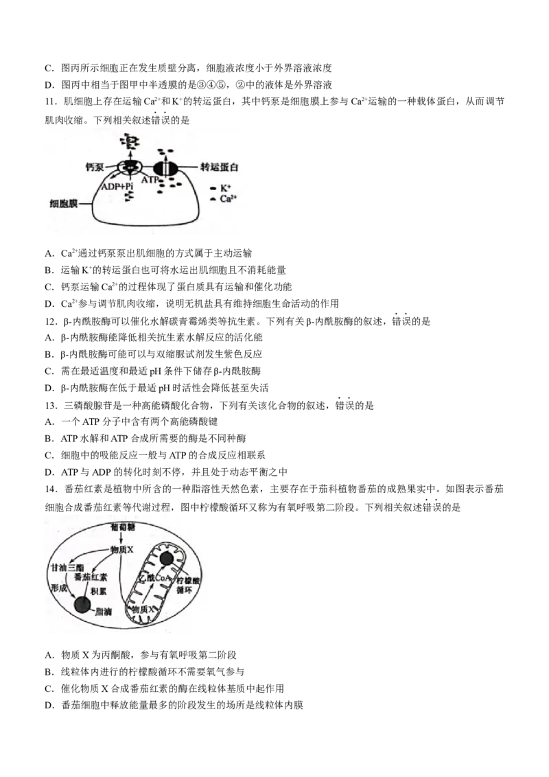 陕西省安康市重点名校2023-2024学年高三10月联考生物试题(1)_2023年10月_0210月合集_2024届陕西省安康市重点名校高三上学期10月联考_陕西省安康市重点名校2024届高三上学期10月联考生物