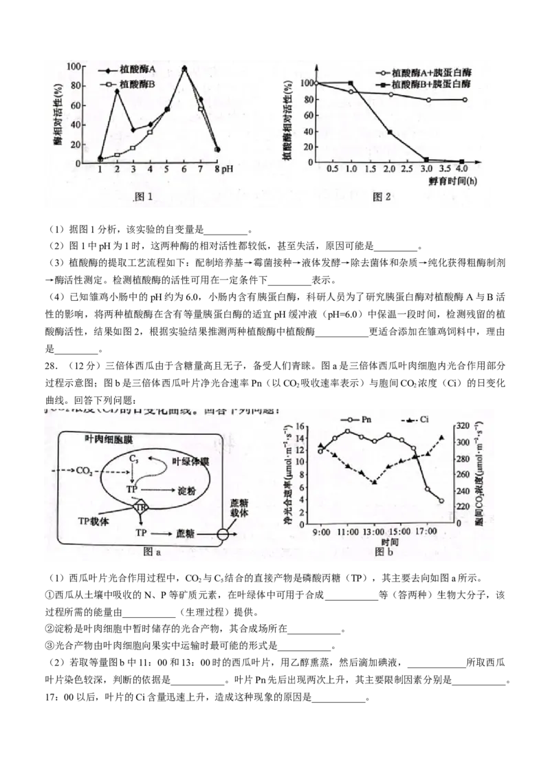 陕西省安康市重点名校2023-2024学年高三10月联考生物试题(1)_2023年10月_0210月合集_2024届陕西省安康市重点名校高三上学期10月联考_陕西省安康市重点名校2024届高三上学期10月联考生物