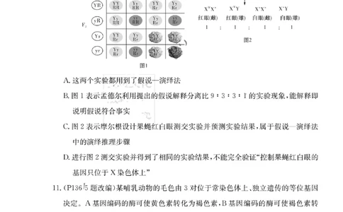 湖南省雅礼中学2023-2024学年高三上学期月考（二）生物(1)_2023年10月_0210月合集_2024届湖南省长沙市雅礼中学高三上学期月考试卷（二）