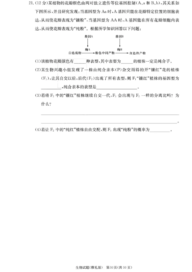 湖南省雅礼中学2023-2024学年高三上学期月考（二）生物(1)_2023年10月_0210月合集_2024届湖南省长沙市雅礼中学高三上学期月考试卷（二）