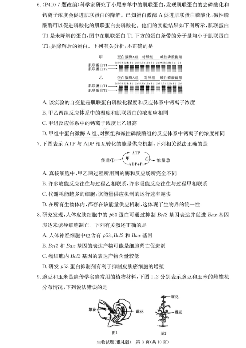 湖南省雅礼中学2023-2024学年高三上学期月考（二）生物(1)_2023年10月_0210月合集_2024届湖南省长沙市雅礼中学高三上学期月考试卷（二）