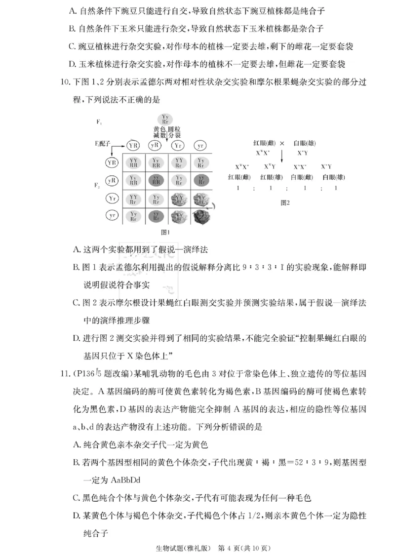 湖南省雅礼中学2023-2024学年高三上学期月考（二）生物(1)_2023年10月_0210月合集_2024届湖南省长沙市雅礼中学高三上学期月考试卷（二）