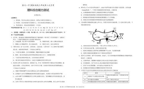 银川一中高三(月考Ⅱ)-理综试题+答案(1)_2023年10月_01每日更新_3号_2024届宁夏回族自治区银川一中高三上学期第二次月考