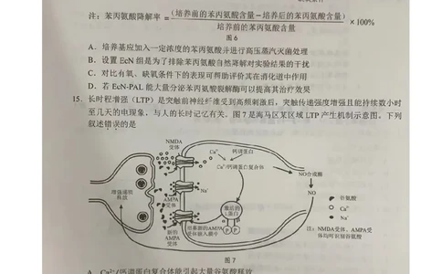 2024届广东省大湾区二模联考生物试卷_2024年4月_01按日期_25号_2024届广东省大湾区普通高中毕业年级联合模拟考试（二）_广东省大湾区2024届普通高中毕业年级联合模拟考试（二）生物