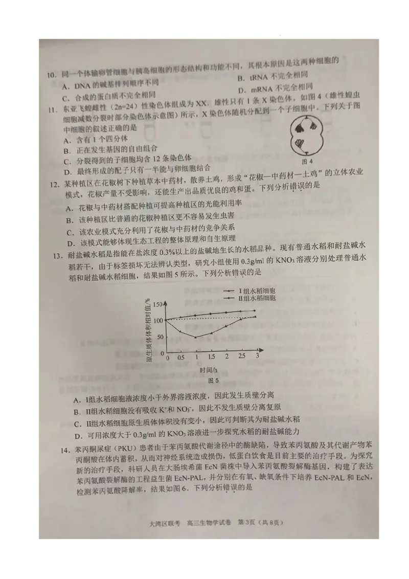 2024届广东省大湾区二模联考生物试卷_2024年4月_01按日期_25号_2024届广东省大湾区普通高中毕业年级联合模拟考试（二）_广东省大湾区2024届普通高中毕业年级联合模拟考试（二）生物