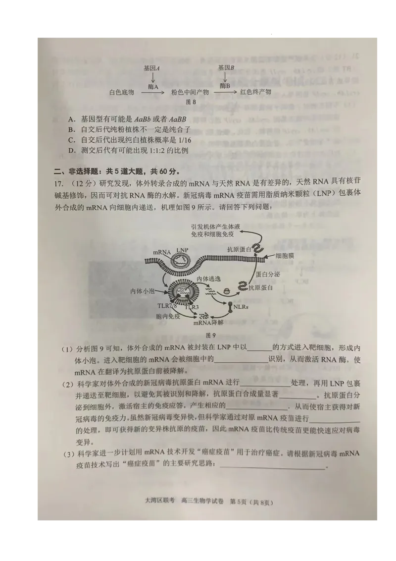2024届广东省大湾区二模联考生物试卷_2024年4月_01按日期_25号_2024届广东省大湾区普通高中毕业年级联合模拟考试（二）_广东省大湾区2024届普通高中毕业年级联合模拟考试（二）生物