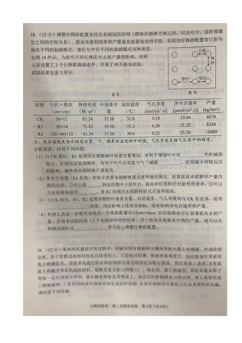 2024届广东省大湾区二模联考生物试卷_2024年4月_01按日期_25号_2024届广东省大湾区普通高中毕业年级联合模拟考试（二）_广东省大湾区2024届普通高中毕业年级联合模拟考试（二）生物