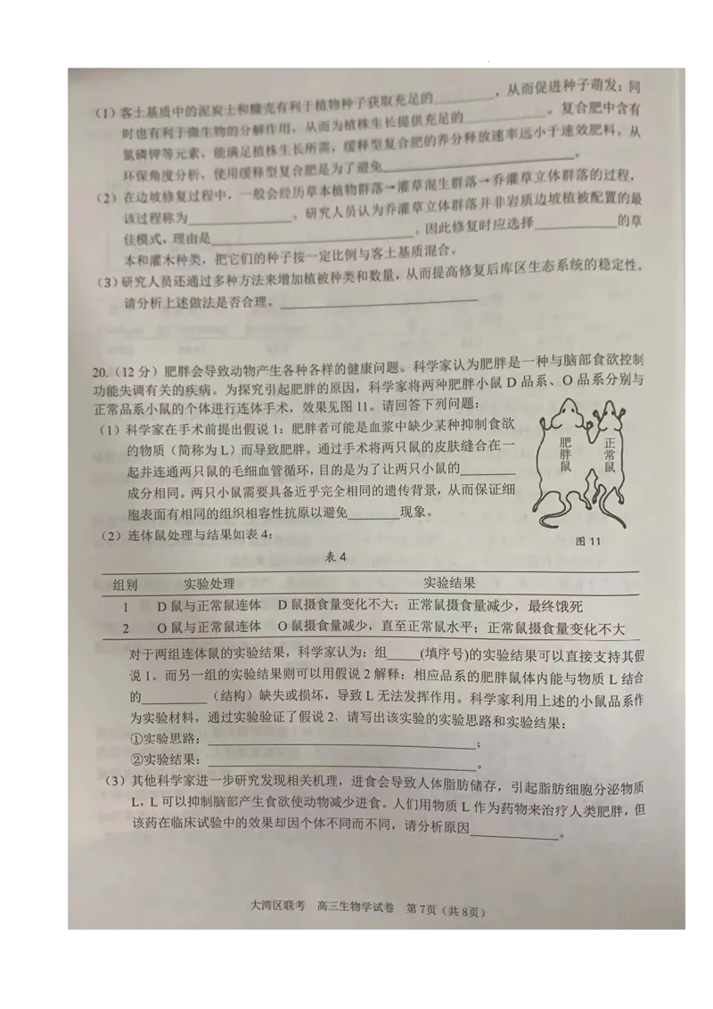 2024届广东省大湾区二模联考生物试卷_2024年4月_01按日期_25号_2024届广东省大湾区普通高中毕业年级联合模拟考试（二）_广东省大湾区2024届普通高中毕业年级联合模拟考试（二）生物