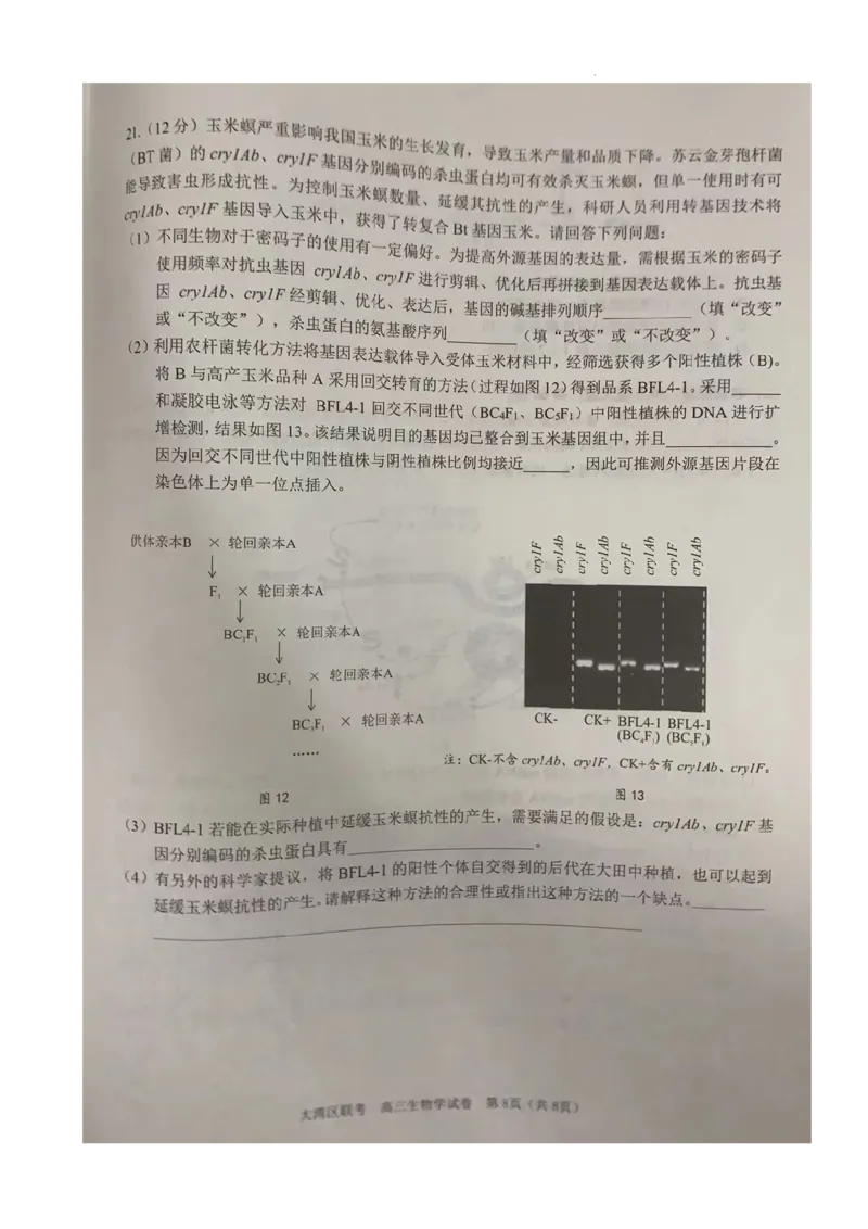 2024届广东省大湾区二模联考生物试卷_2024年4月_01按日期_25号_2024届广东省大湾区普通高中毕业年级联合模拟考试（二）_广东省大湾区2024届普通高中毕业年级联合模拟考试（二）生物