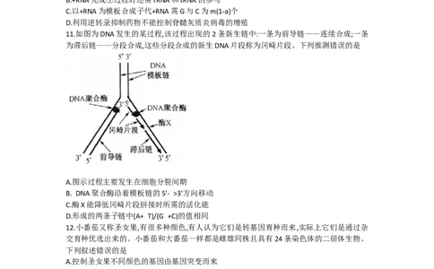 河南省名校联盟2022-2023学年高三上学期摸底联考生物试题_2023年7月_027月合集_2023届九师联盟高三上学期摸底联考（质量巩固卷）_23届联盟高三摸底联考巩固卷（老教材老高考）生物