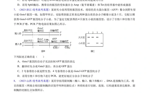 专题21基因工程-五年（2019-2023）高考生物真题分项汇编（全国通用）（原卷版）_赠送：2008-2024全套高考真题_高考生物真题_送高考生物五年真题(2019-2023)分项汇编（全国通用）