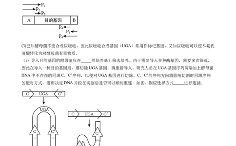 专题21基因工程-五年（2019-2023）高考生物真题分项汇编（全国通用）（原卷版）_赠送：2008-2024全套高考真题_高考生物真题_送高考生物五年真题(2019-2023)分项汇编（全国通用）