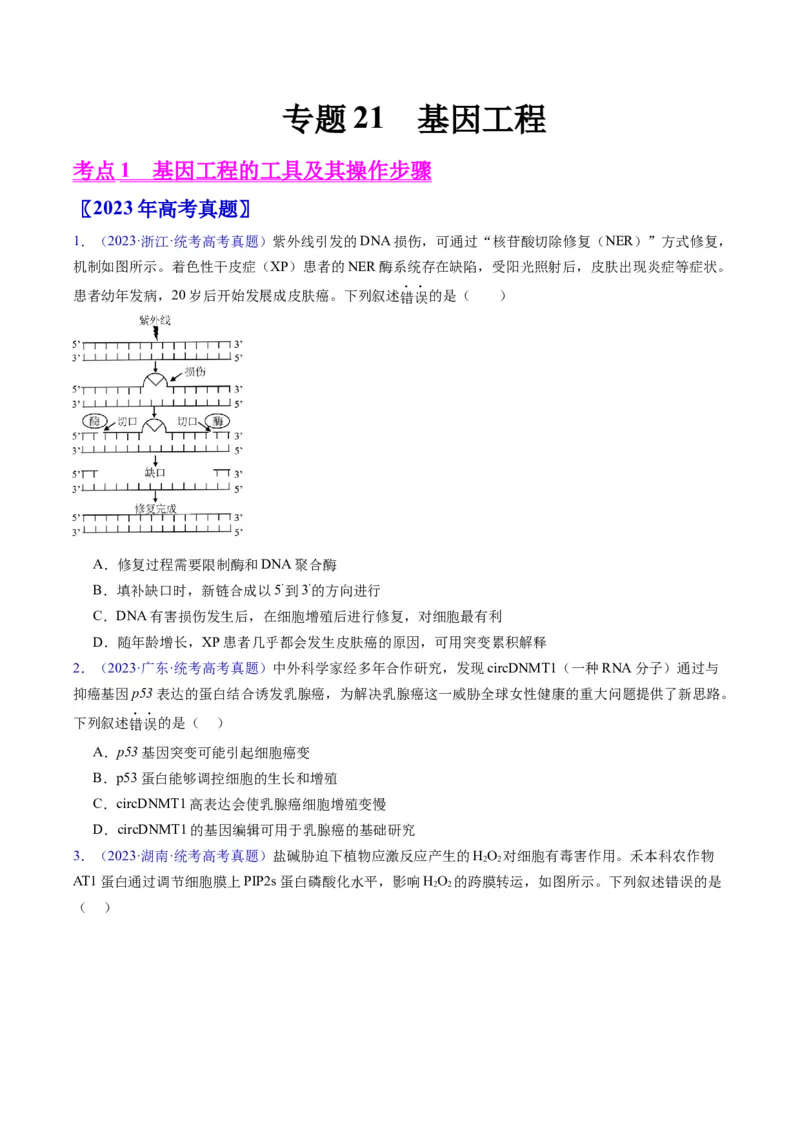 专题21基因工程-五年（2019-2023）高考生物真题分项汇编（全国通用）（原卷版）_赠送：2008-2024全套高考真题_高考生物真题_送高考生物五年真题(2019-2023)分项汇编（全国通用）