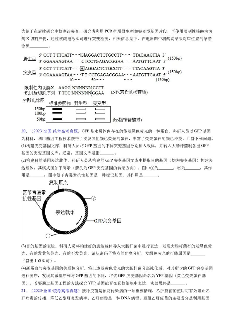 专题21基因工程-五年（2019-2023）高考生物真题分项汇编（全国通用）（原卷版）_赠送：2008-2024全套高考真题_高考生物真题_送高考生物五年真题(2019-2023)分项汇编（全国通用）