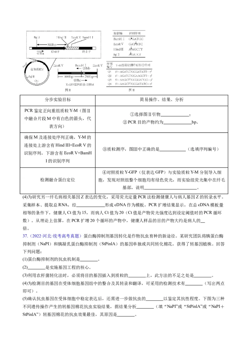 专题21基因工程-五年（2019-2023）高考生物真题分项汇编（全国通用）（原卷版）_赠送：2008-2024全套高考真题_高考生物真题_送高考生物五年真题(2019-2023)分项汇编（全国通用）