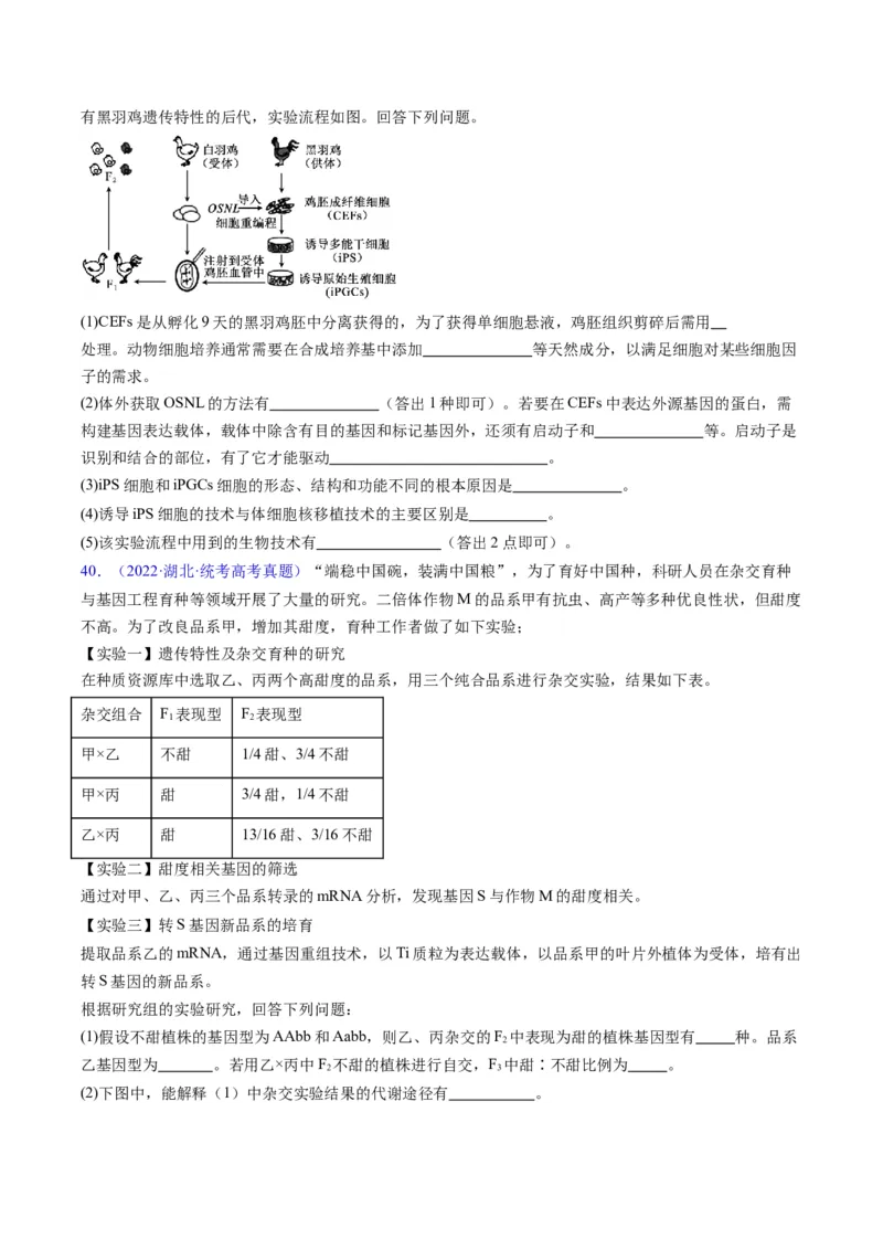 专题21基因工程-五年（2019-2023）高考生物真题分项汇编（全国通用）（原卷版）_赠送：2008-2024全套高考真题_高考生物真题_送高考生物五年真题(2019-2023)分项汇编（全国通用）