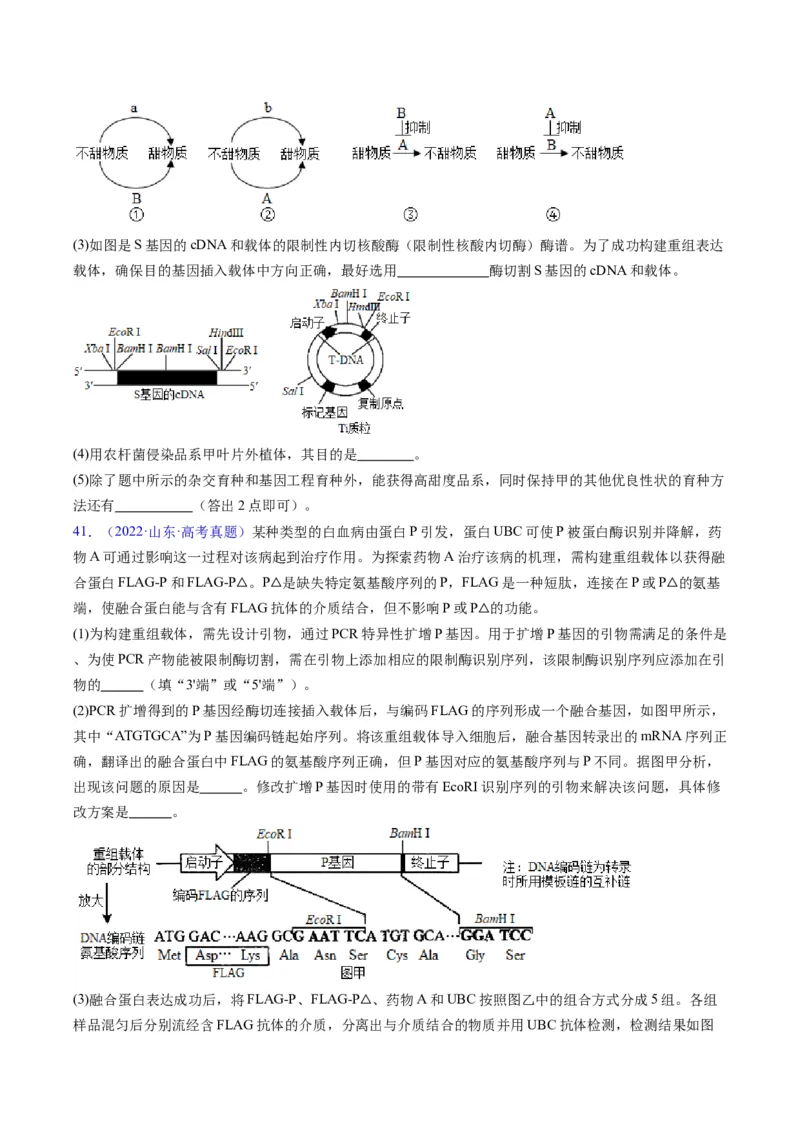 专题21基因工程-五年（2019-2023）高考生物真题分项汇编（全国通用）（原卷版）_赠送：2008-2024全套高考真题_高考生物真题_送高考生物五年真题(2019-2023)分项汇编（全国通用）