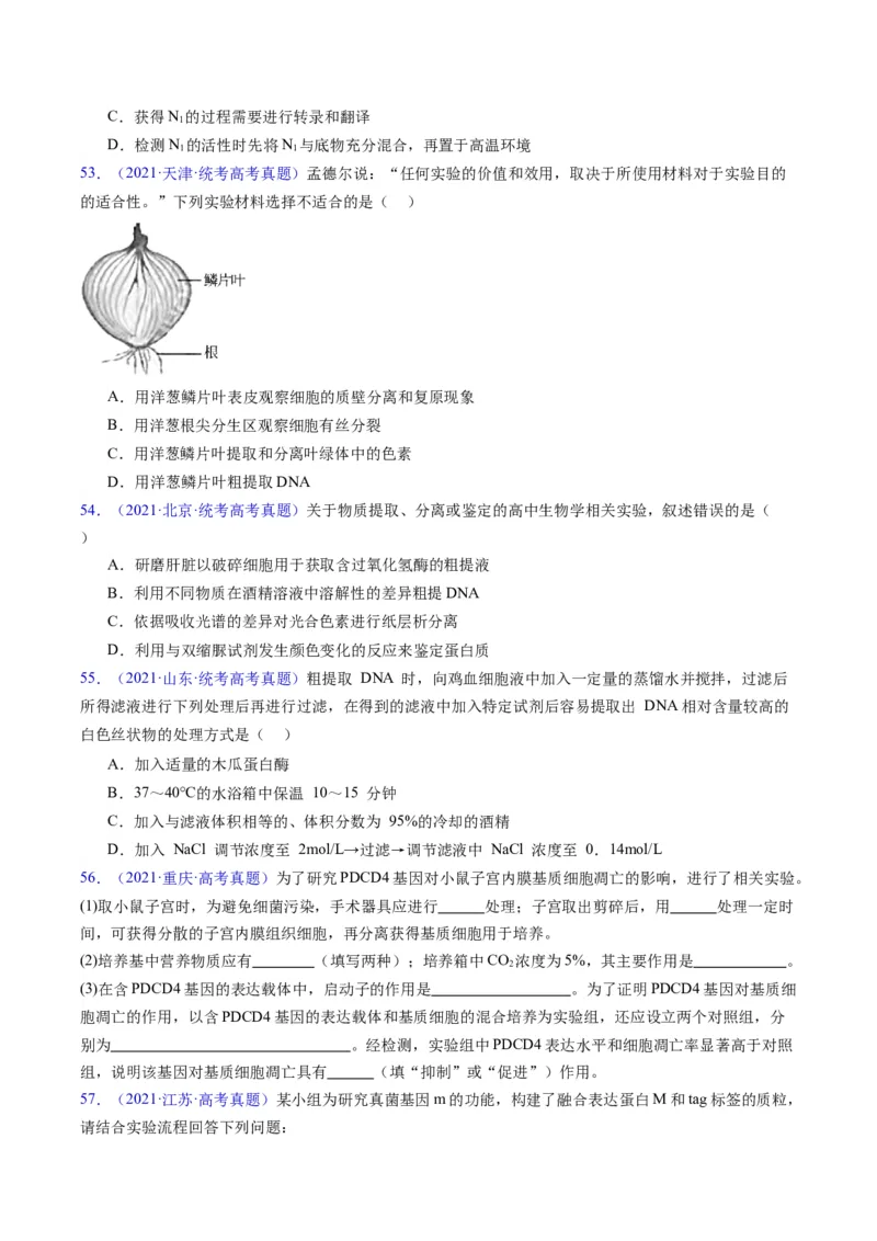 专题21基因工程-五年（2019-2023）高考生物真题分项汇编（全国通用）（原卷版）_赠送：2008-2024全套高考真题_高考生物真题_送高考生物五年真题(2019-2023)分项汇编（全国通用）