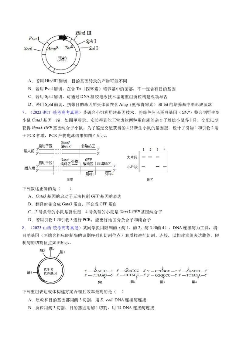 专题21基因工程-五年（2019-2023）高考生物真题分项汇编（全国通用）（原卷版）_赠送：2008-2024全套高考真题_高考生物真题_送高考生物五年真题(2019-2023)分项汇编（全国通用）