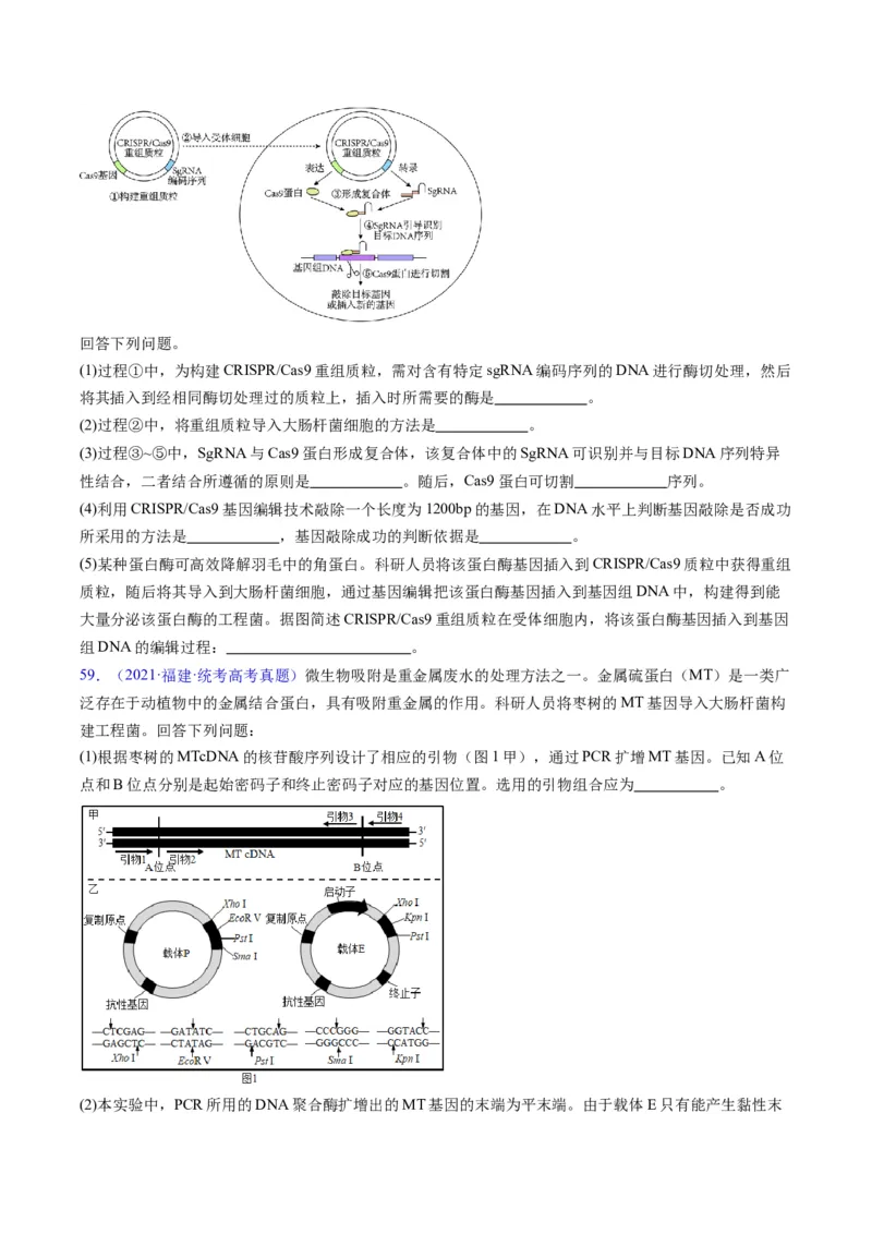 专题21基因工程-五年（2019-2023）高考生物真题分项汇编（全国通用）（原卷版）_赠送：2008-2024全套高考真题_高考生物真题_送高考生物五年真题(2019-2023)分项汇编（全国通用）