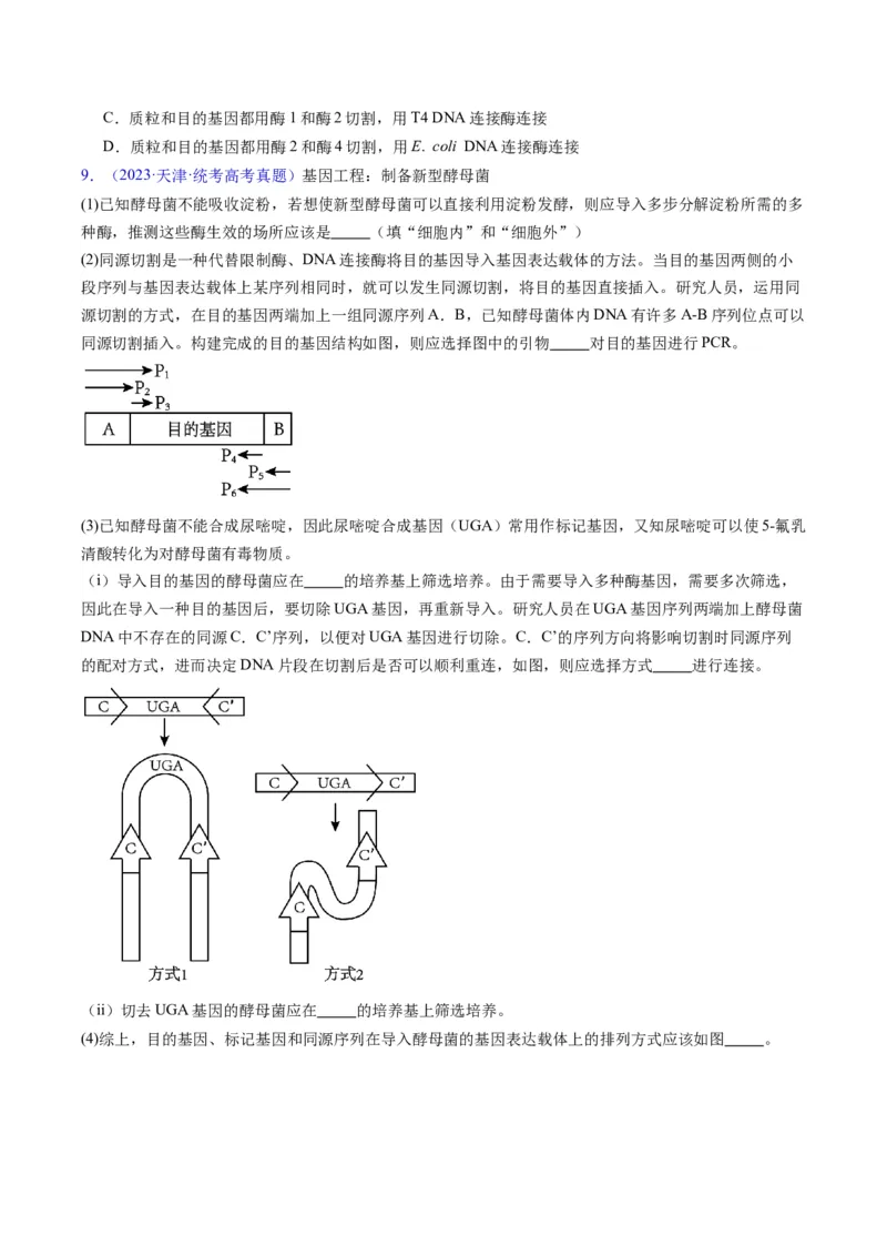 专题21基因工程-五年（2019-2023）高考生物真题分项汇编（全国通用）（原卷版）_赠送：2008-2024全套高考真题_高考生物真题_送高考生物五年真题(2019-2023)分项汇编（全国通用）