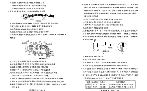 湘豫名校联考2023-2024学年高三上学期8月入学摸底考试生物(1)_2023年8月_028月合集_2024届湖南省湘豫名校联考高三上学期8月入学摸底考试