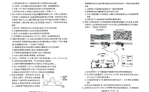 湘豫名校联考2023-2024学年高三上学期8月入学摸底考试生物(1)_2023年8月_028月合集_2024届湖南省湘豫名校联考高三上学期8月入学摸底考试