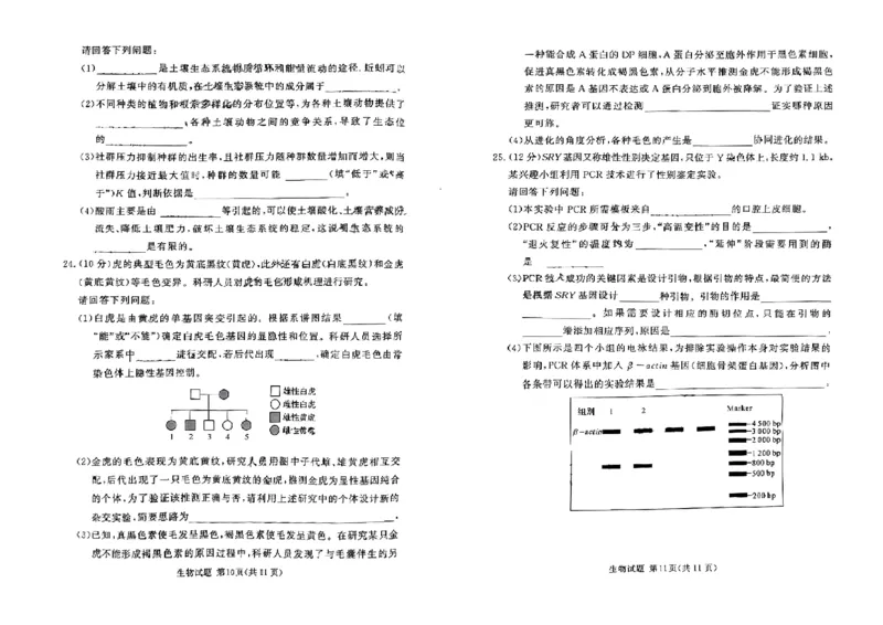 湘豫名校联考2023-2024学年高三上学期8月入学摸底考试生物(1)_2023年8月_028月合集_2024届湖南省湘豫名校联考高三上学期8月入学摸底考试