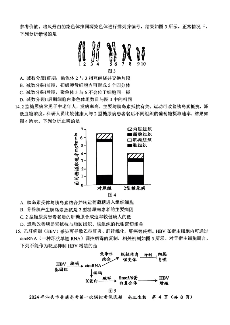 2024届广东省汕头市普通高考第一次模拟考试生物(1)_2024年3月_013月合集_2024届广东省汕头市普通高考第一次模拟考试