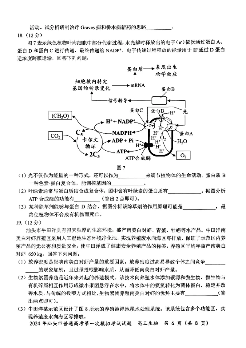 2024届广东省汕头市普通高考第一次模拟考试生物(1)_2024年3月_013月合集_2024届广东省汕头市普通高考第一次模拟考试