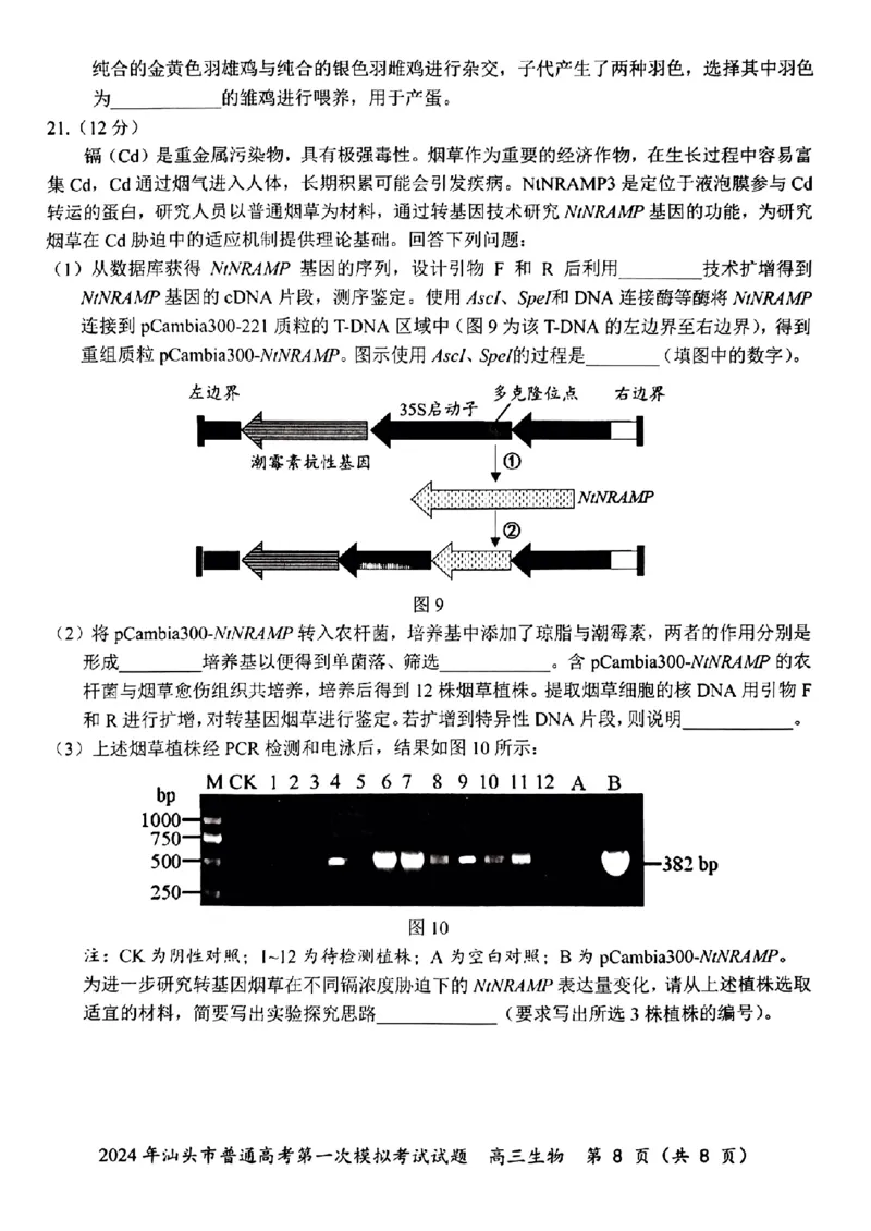 2024届广东省汕头市普通高考第一次模拟考试生物(1)_2024年3月_013月合集_2024届广东省汕头市普通高考第一次模拟考试