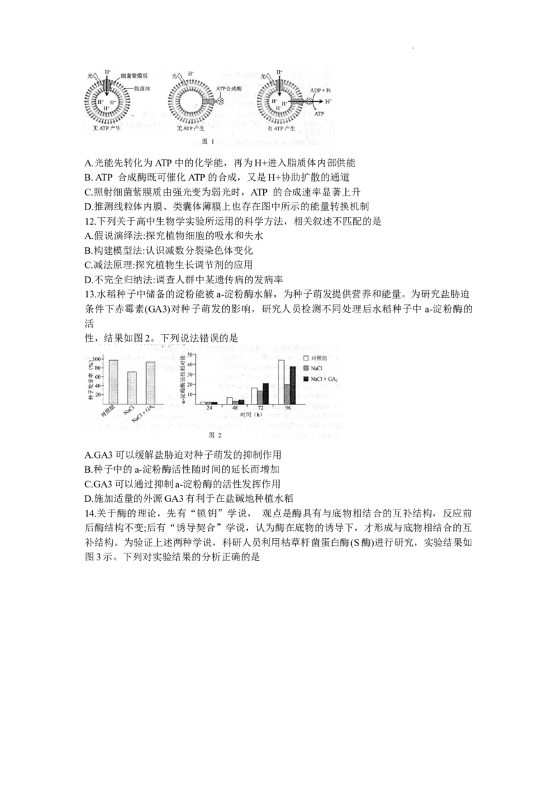 2024届广东省江门市高三一模考试生物试题+_2024年3月_013月合集_2024届广东省江门市高考模拟考试（一）_广东省江门市2024年高考模拟考试（一）生物