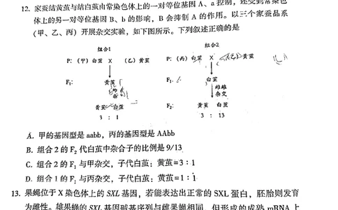 福建福州高三上(质检Ⅰ)-生物试题+答案(1)_2023年9月_029月合集_2024届福建省福州市高三上学期第一次质量监测