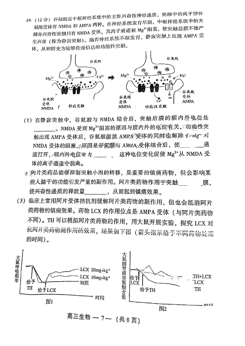 福建福州高三上(质检Ⅰ)-生物试题+答案(1)_2023年9月_029月合集_2024届福建省福州市高三上学期第一次质量监测