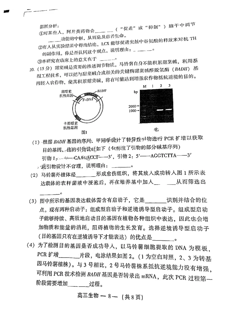 福建福州高三上(质检Ⅰ)-生物试题+答案(1)_2023年9月_029月合集_2024届福建省福州市高三上学期第一次质量监测
